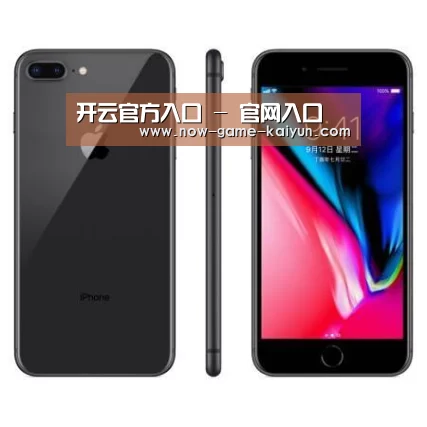 Apple iPhone 8 Plus (A1899) 64GB 深空灰色 移动联通4G手机