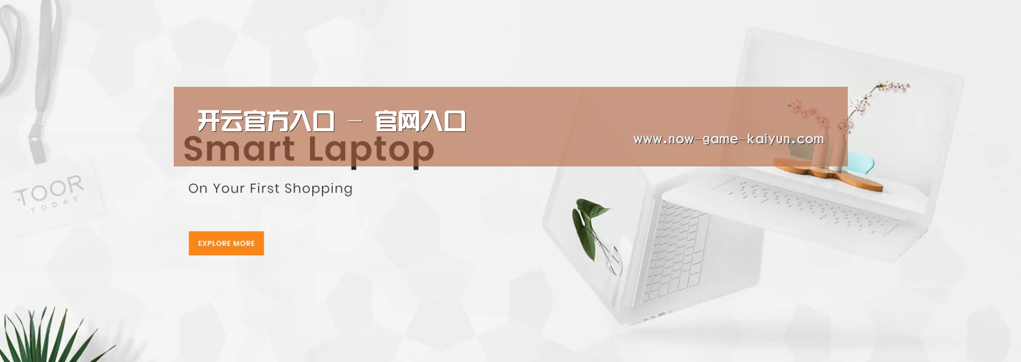 某某网络科技有限公司