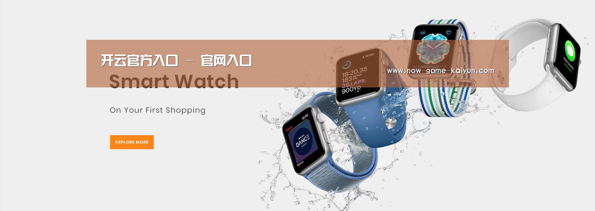 某某网络科技有限公司