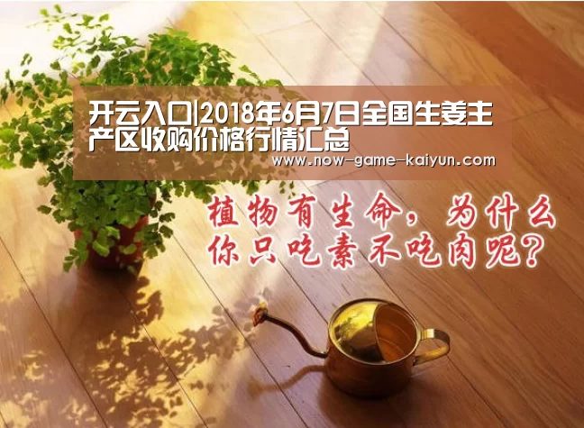 开云体育官网