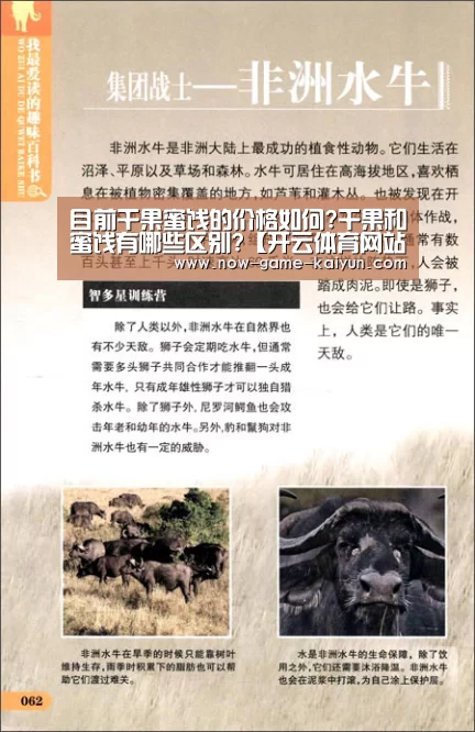 开云体育网站