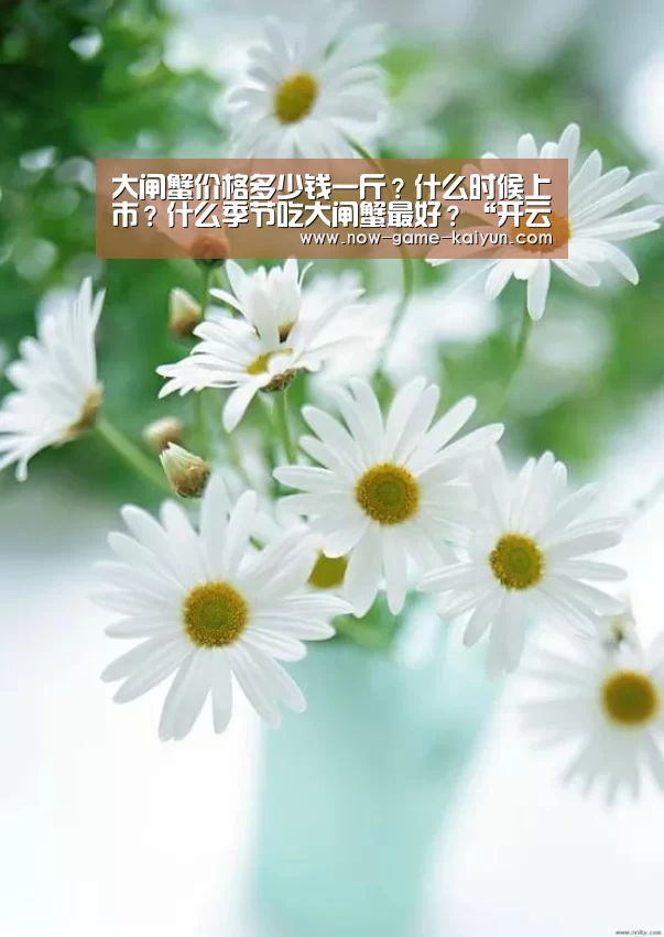 开云体育官网