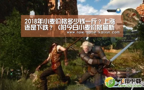 开云体育网站