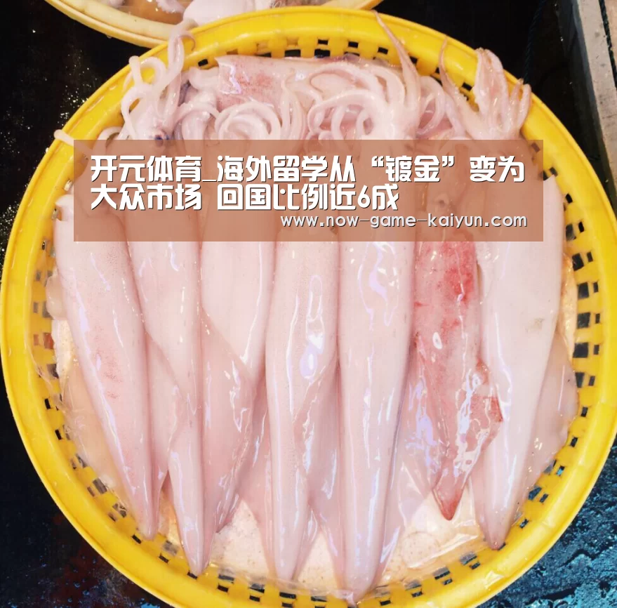 开元体育_海外留学从“镀金”变为大众市场 回国比例近6成(图1) 开元体育