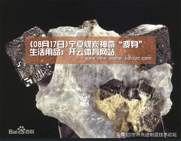 (08月17日)宁夏煤炭神奇“变身”生活用品:开云体育网站(图3) 开云体育官网
