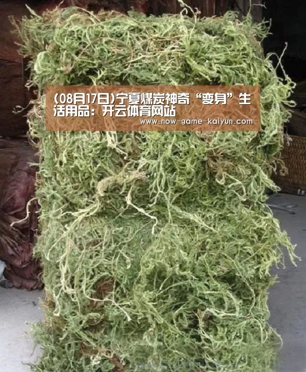 (08月17日)宁夏煤炭神奇“变身”生活用品:开云体育网站(图4) 开云体育官网