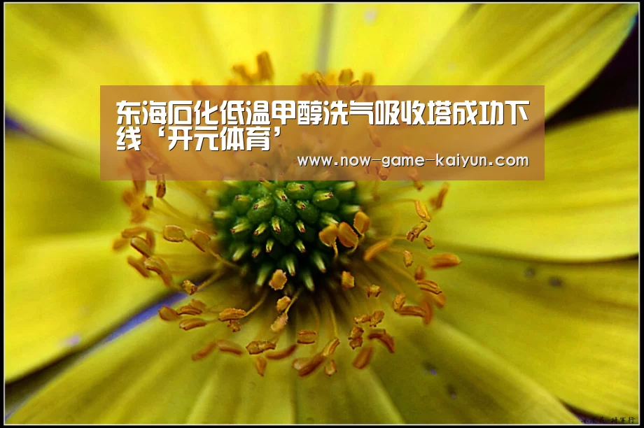东海石化低温甲醇洗气吸收塔成功下线‘开元体育’(图1) 开云体育网站