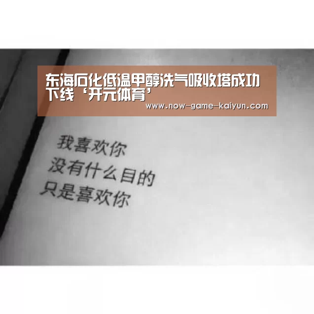 东海石化低温甲醇洗气吸收塔成功下线‘开元体育’(图3) 开云体育官网