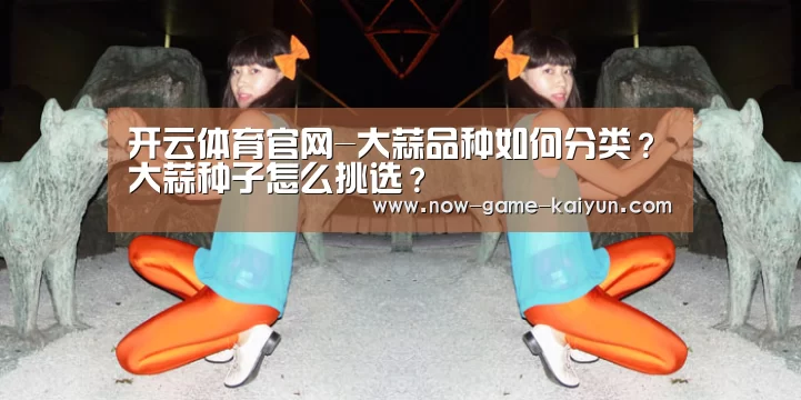 开云入口