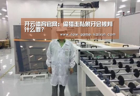 开云体育官网:偷猎走私象牙会被判什么罪?(图1) 开云体育网站