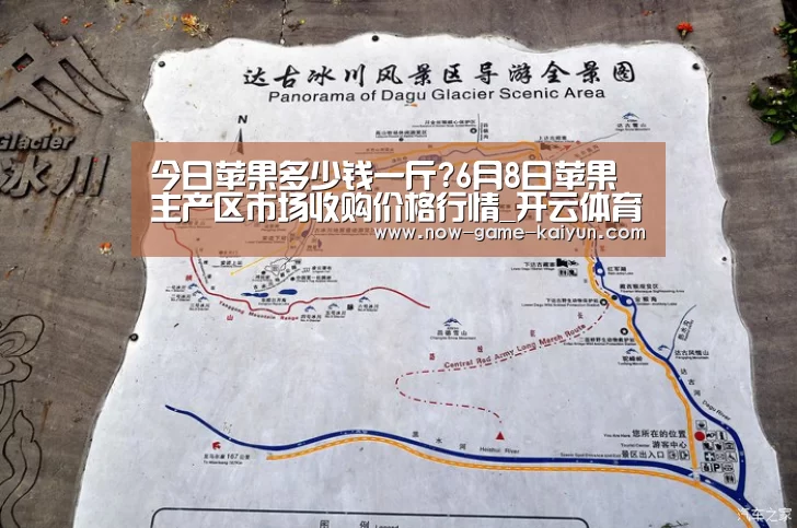 开云体育官网