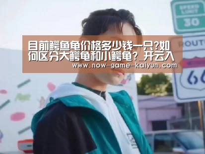 目前鳄鱼龟价格多少钱一只?如何区分大鳄龟和小鳄龟?_开云入口(图1) 开云体育官网