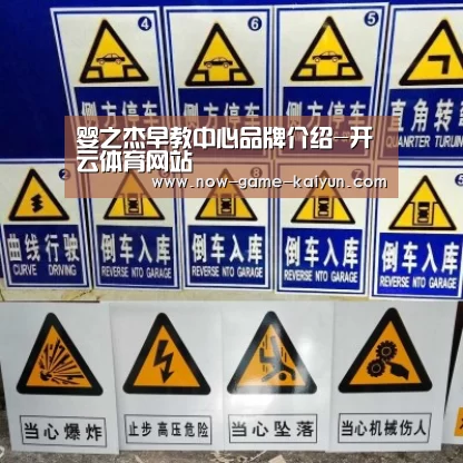 开云体育网站