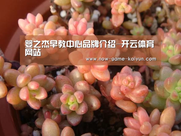 开元体育